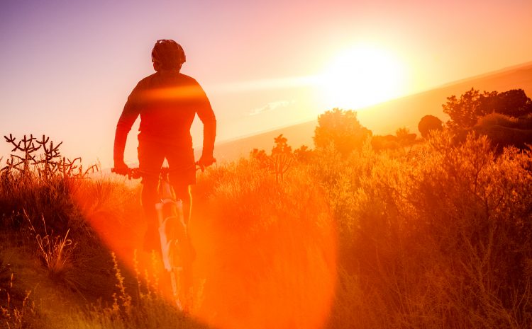  Blinded by the Light: Staying Safe on the Roads in Low Sun Conditions