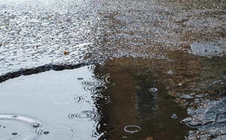  The Economic Impact of Potholes on Cycling