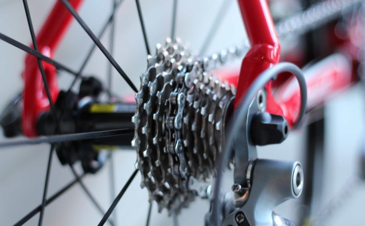  Preparing for Bike Safety in the Spring: Tips for Cyclists